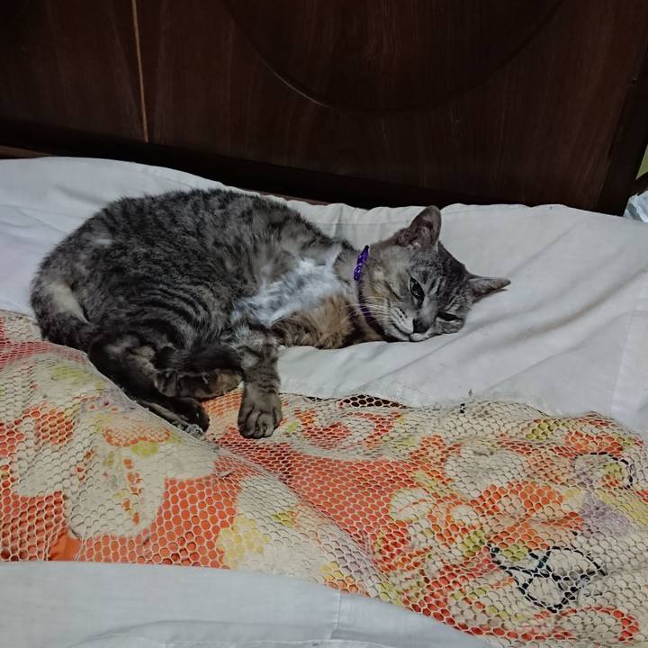 Eb1b3f65 382c 4416 b2fb d37a38341ca0 1591531393047