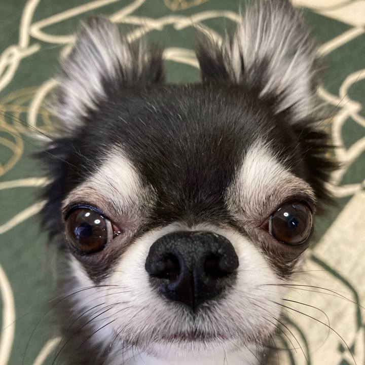 Eb1b4b1e 1cb9 4925 9fd4 8d893e2b35be 1640388419526