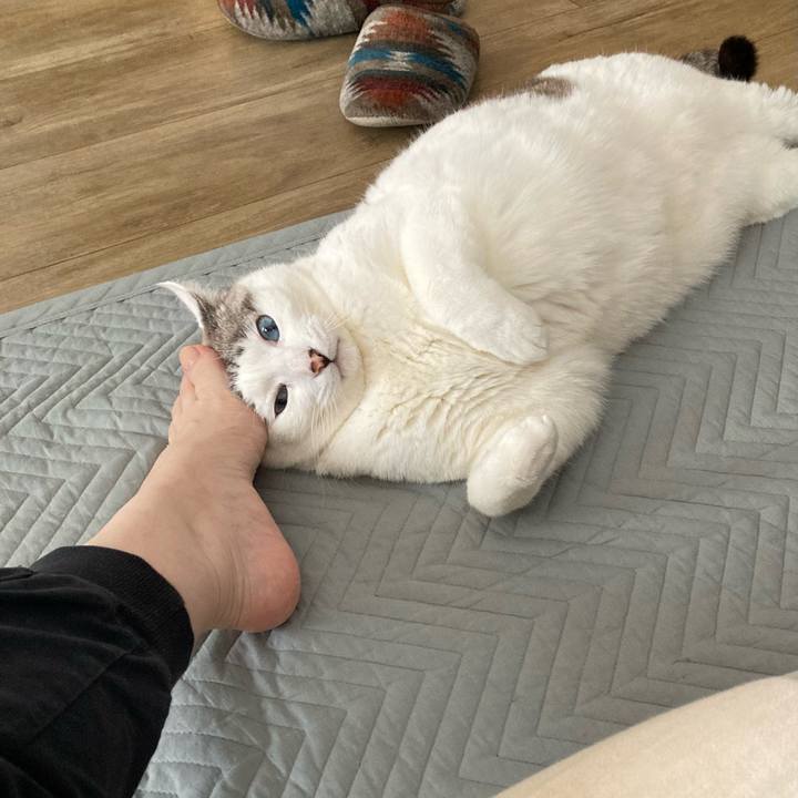 Eb1b5cfa 2b97 4617 90aa 3e3acf5864e1 1741835716951