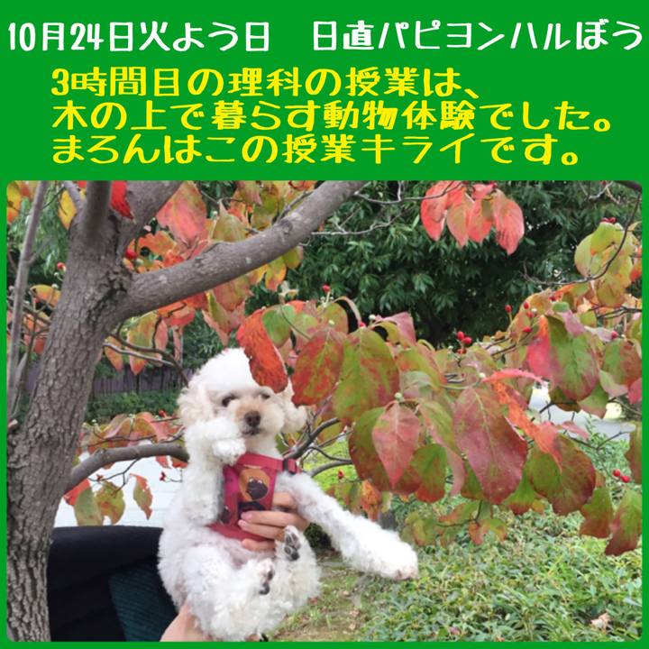 Eb1b5dc0 bb26 450c a33c 56c56c98ceb2 1508818342178