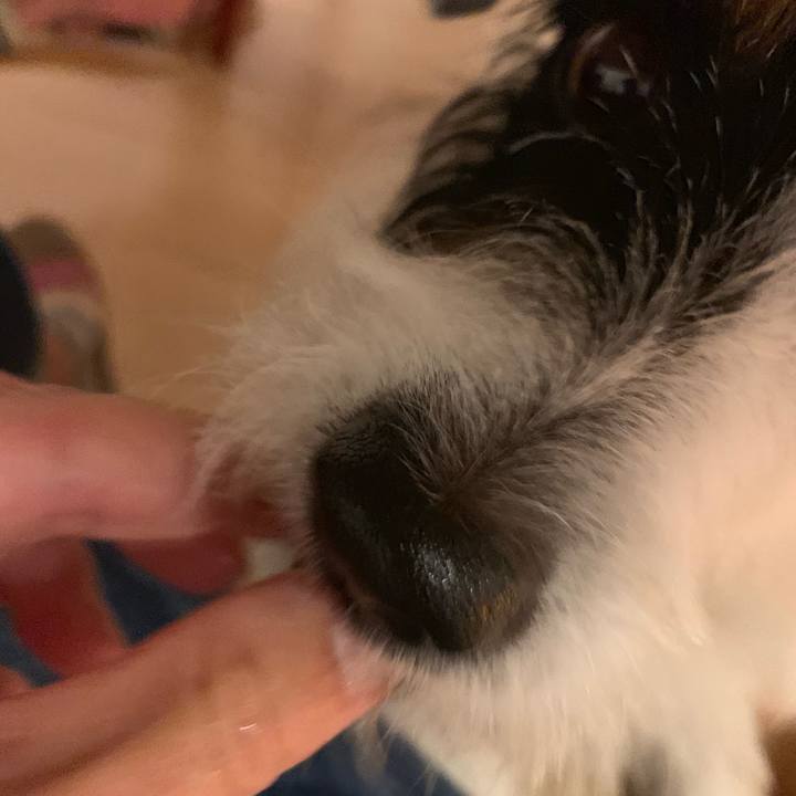 Eb1b660c 4080 47e7 8bf3 4d2af348601b 1567161249051