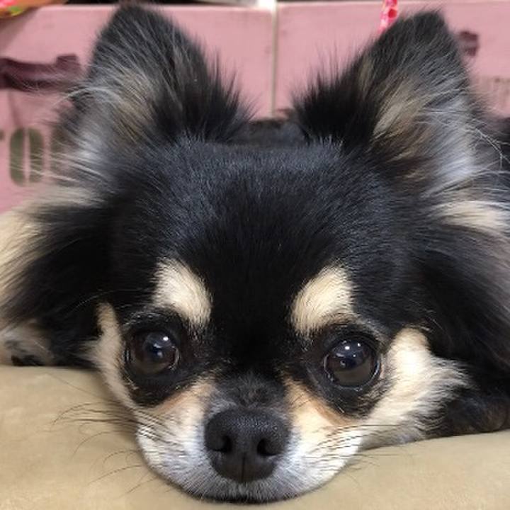 Eb1b7559 025e 4b46 8458 aba1cd875009 1597386592375