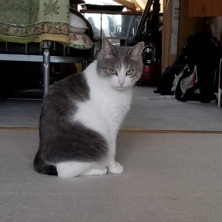 Eb1b9db7 4dce 47cd bce6 4dad4dc4b8cb 1560216047653