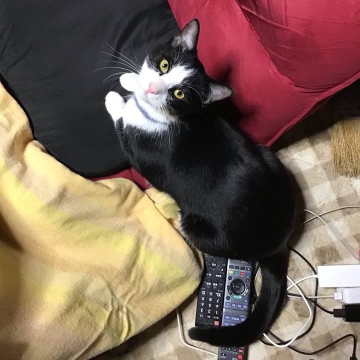 Eb1bf633 590a 4a94 ab13 6b519ddbfa19 1670589190630