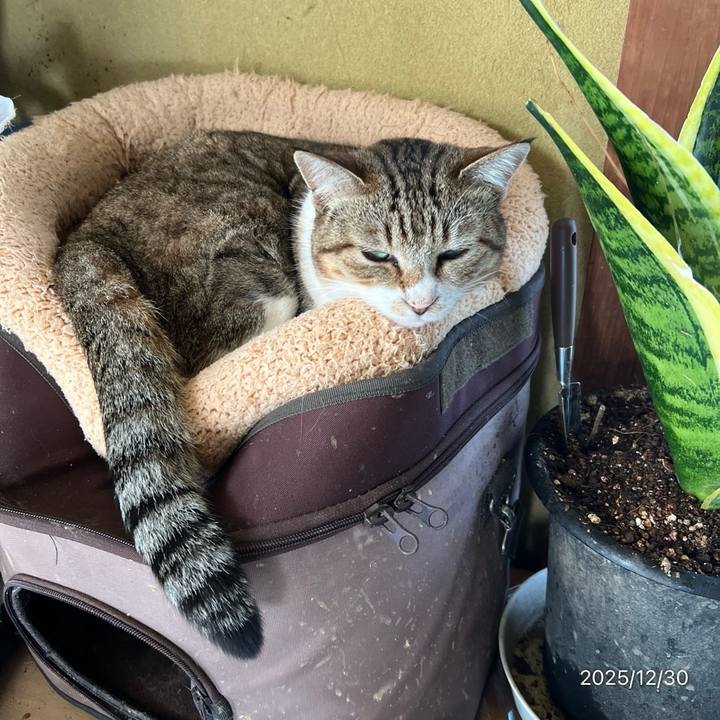 Eb1c0353 48c2 4753 b0c8 b7b1216cb12b 1769637744100