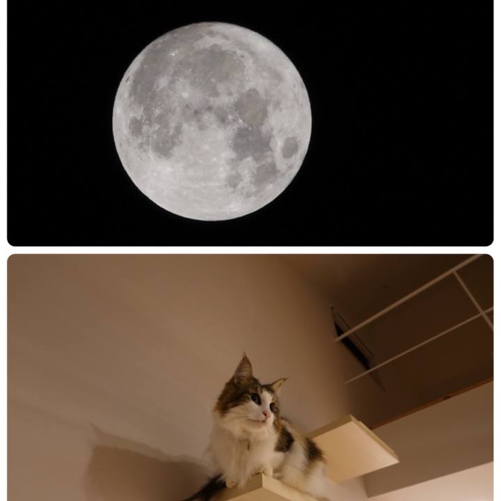 Eb1c16c4 5e4e 4457 9573 fb52d304d098 1601567223193