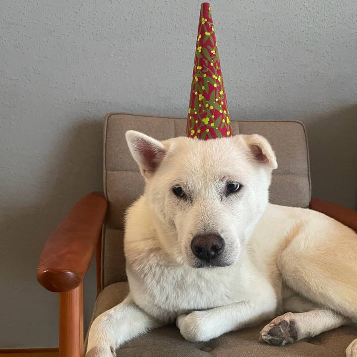 Eb1c1ed5 4a29 4f8c ba5e 99b92b97014e 1766577406825