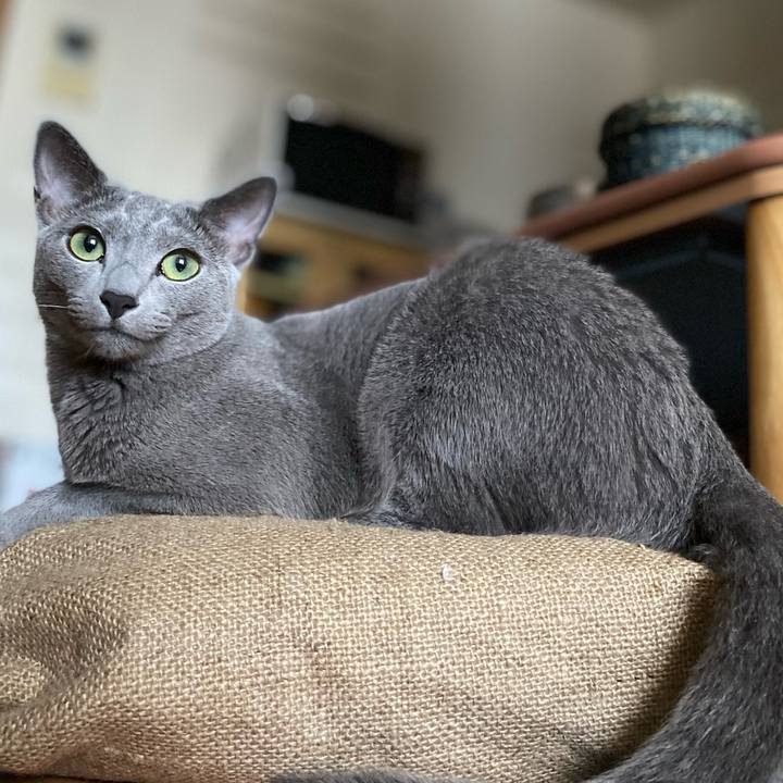 Eb1c489e 6b27 46bf 8b41 ab059572061b 1626526646275