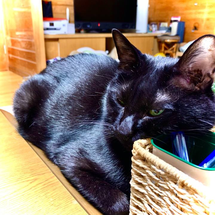 Eb1c766d 2a2f 4299 914f 6c0638e95f11 1619871271328