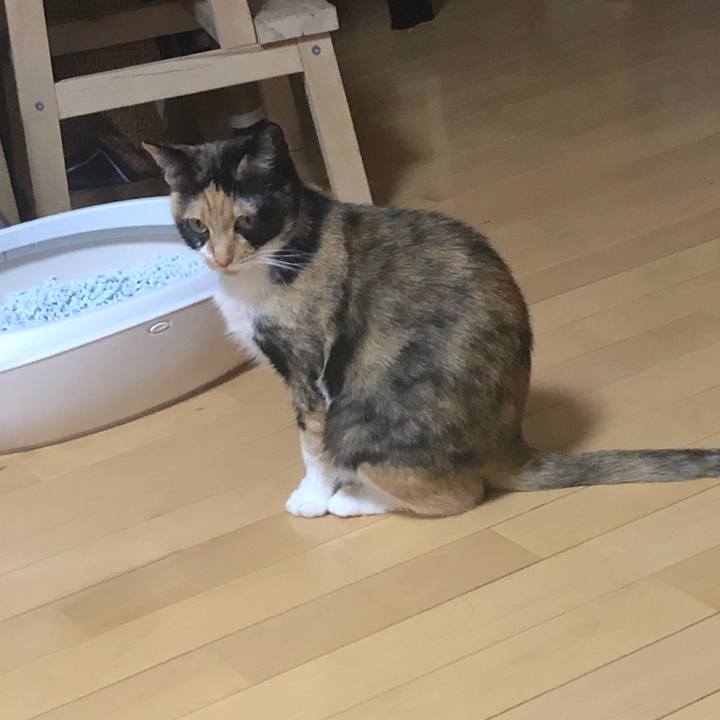 Eb1c8386 ec36 40a4 aa15 a5e1444bf596 1587826444780