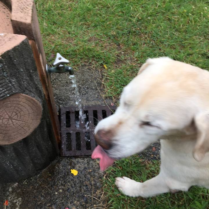 Eb1ccbd7 4938 47d7 84c7 a075c78afa2e 1531431783865