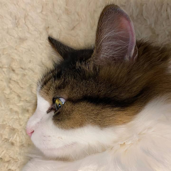 Eb1d00ad 02cb 4162 b301 b923150a1972 1670627369708