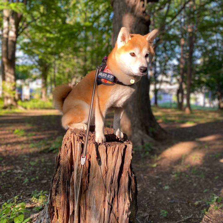 Eb1d15a8 a7c5 4adb b662 1b5e55e1977b 1654424313962