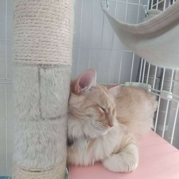 Eb1d395a 9ffa 4aa2 b0ba ab74c216db08 1642389674444