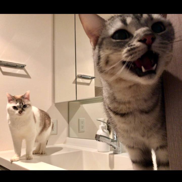 Eb1d4357 d85d 4645 9f52 2744c25ec834 1518094435466