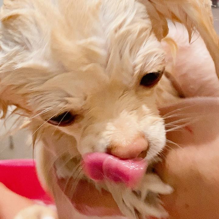 Eb1d4614 fc41 4bbd bdc8 c04d6639542a 1611225116144