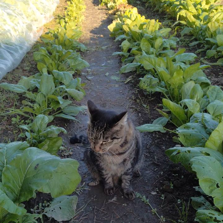 Eb1da31e 75dd 43c9 8bf2 7834ea54a9d0 1697100369919