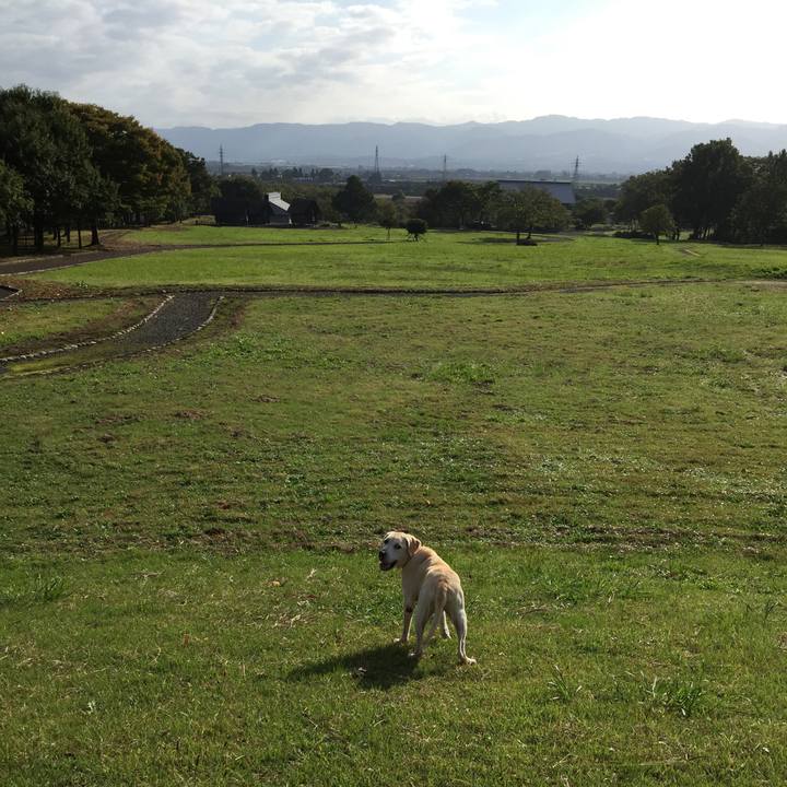 Eb1e3421 4785 451c 9341 da745a3ab68c 1566956979124