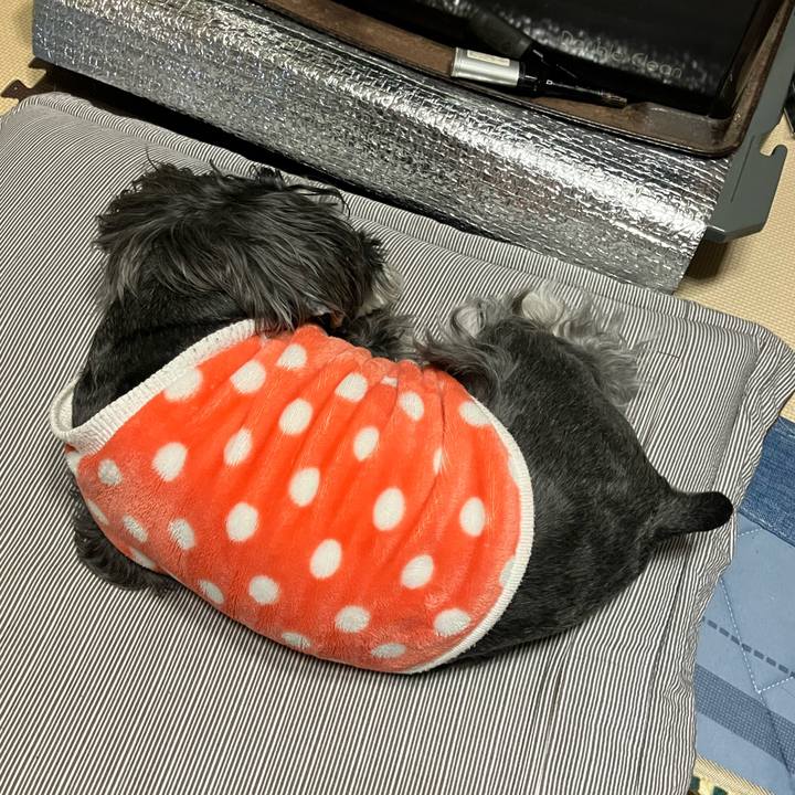 Eb1e4a45 0ef6 41b6 b578 6aa82e44d068 1709641596013