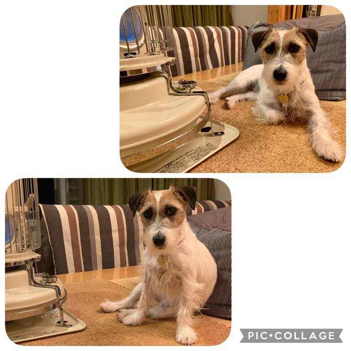 Eb1e64ab 5657 48f9 aee9 45d5c562a3eb 1615548859420