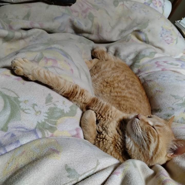 Eb1e90a9 330b 4373 acf0 e91d1fbc7334 1684760118941