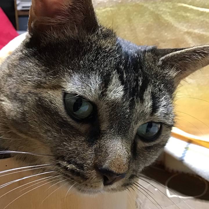 Eb1e9911 56b4 4645 96d3 9656393a45cf 1762765713483