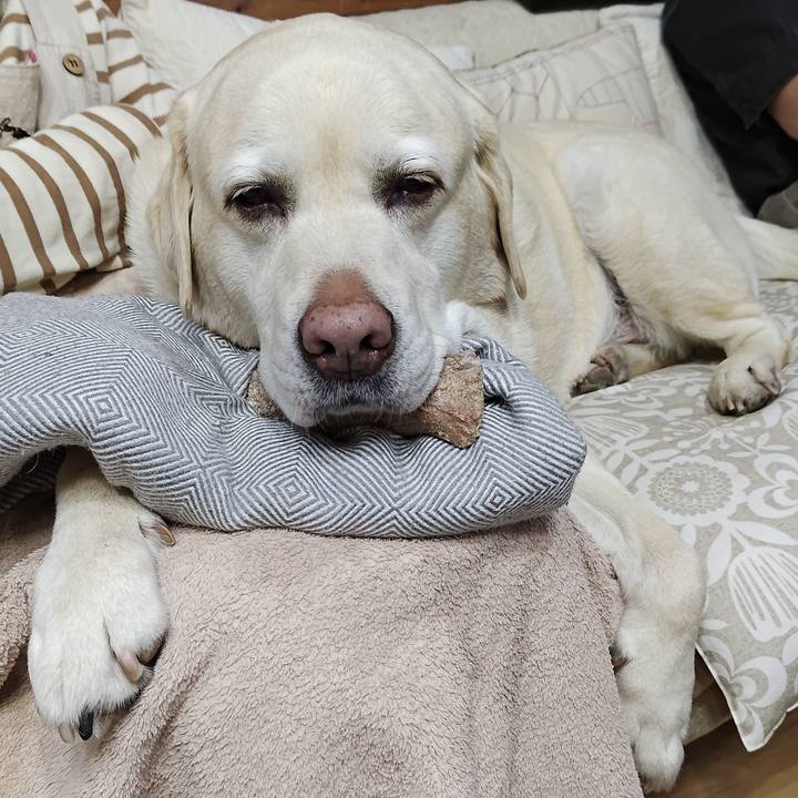 Eb1eb6b8 6240 406f 8371 f4a197eb118b 1744890247523