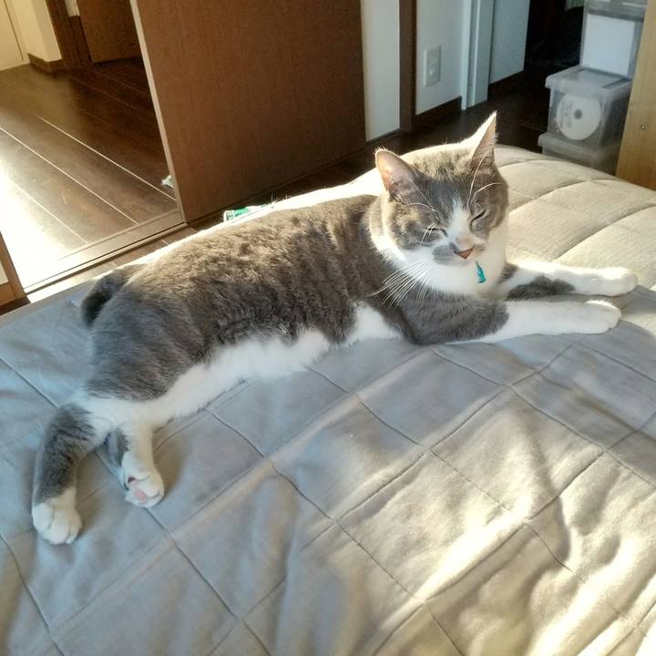 Eb1ec29c 66bb 4925 b09e 89057e7f2e85 1633301546839