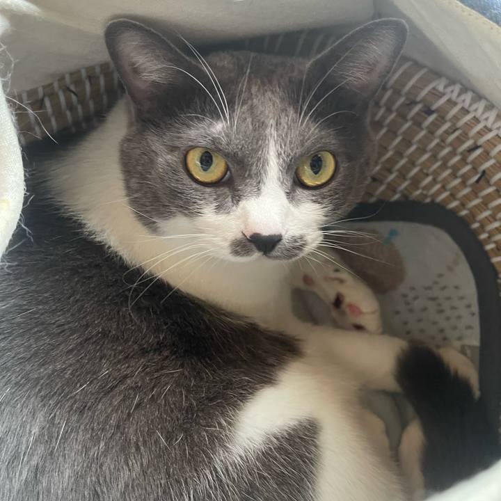 Eb1edb5b bd78 42de acc1 8d08859c5d63 1755234011332