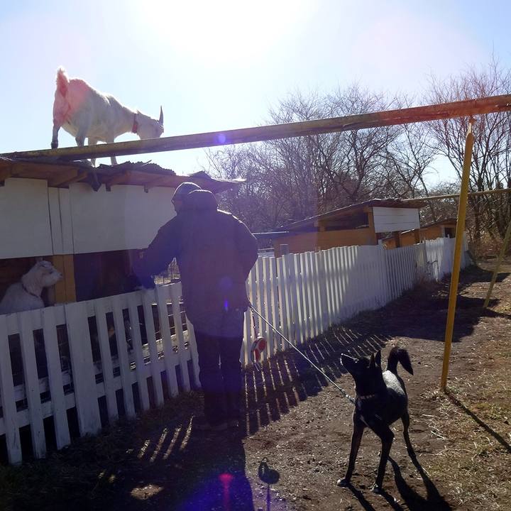 Eb1edeed 38ac 4ead 973a 0b75f0c10a9b 1525911061869