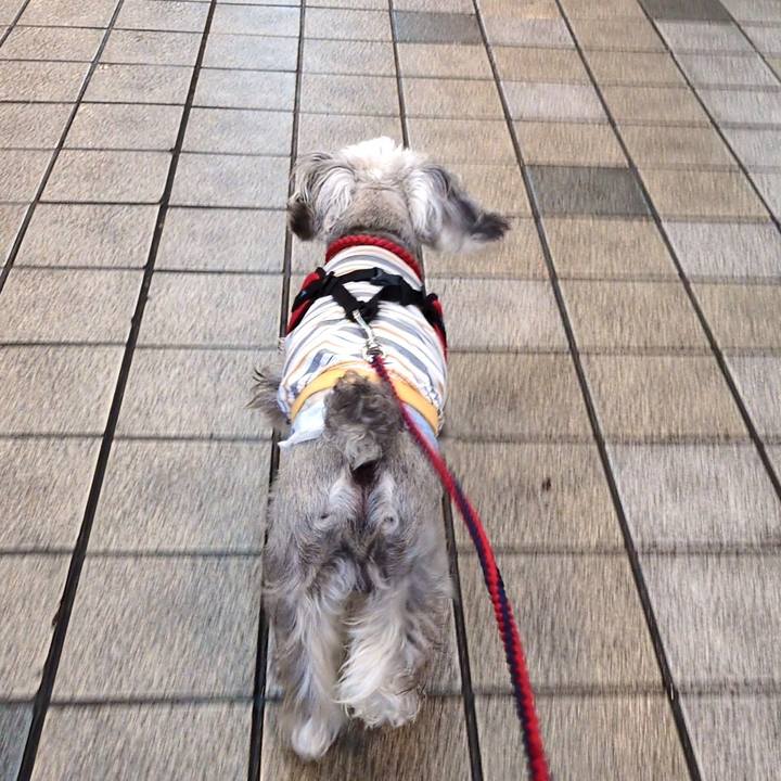 Eb1efbe7 4d10 47c6 9f40 287caffbf7c0 1749732856151