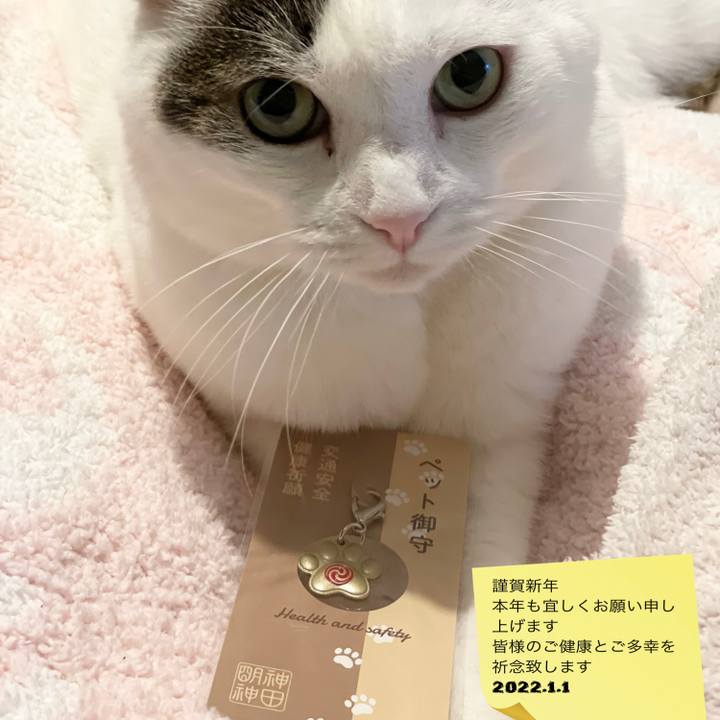 Eb1f3463 2f04 4682 ae63 fbba04465c4c 1641019528551