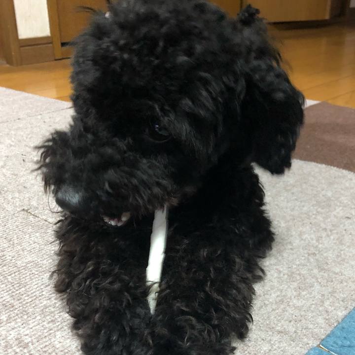 Eb1f4319 3ed6 4496 9cf7 00e602946de2 1524437203332