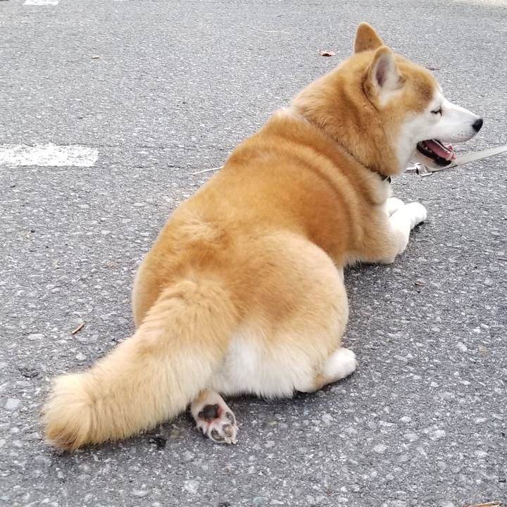 Eb1f5284 18da 4355 af1e b59ae291e84b 1632293997811