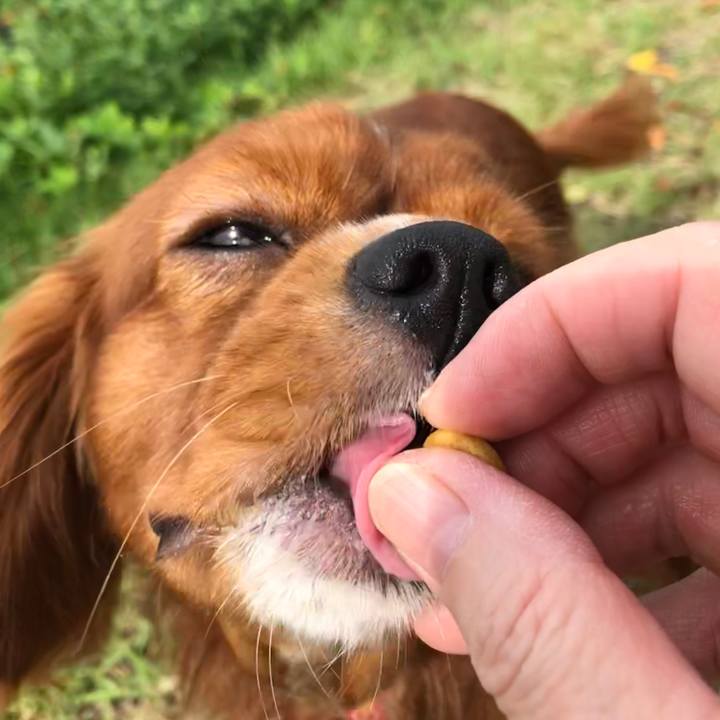 Eb1f80d5 e5f6 4e59 94e6 6accdd2f3d35 1569650308396