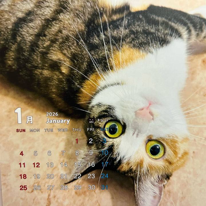 Eb1fa5b0 59a5 4dfd bd50 90deca3466ca 1767512964221