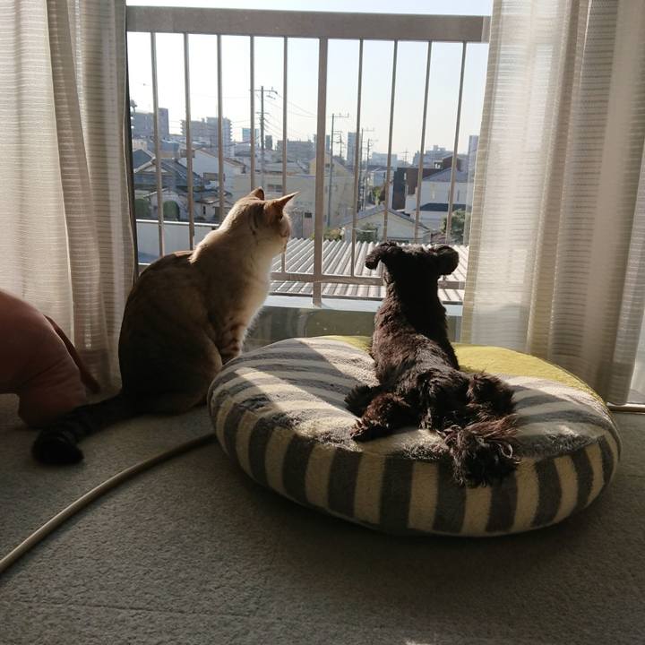 Eb1fcfe6 0cde 4750 97f3 0d3038387c88 1582524387712