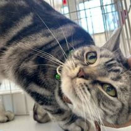 Eb1ffd05 09fa 4326 9120 145fc7eee265 1702120209151