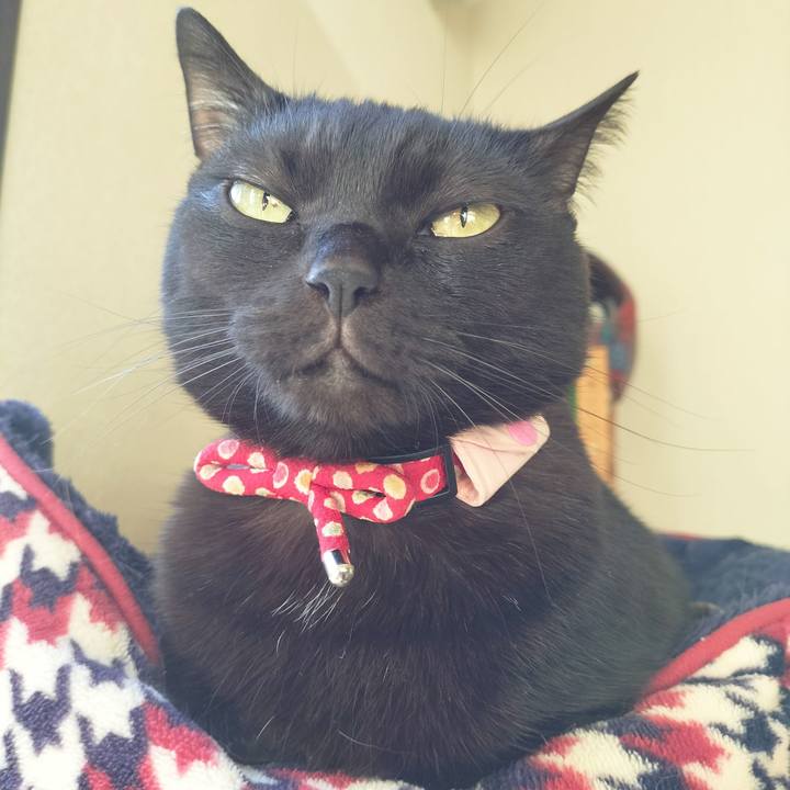 Eb20198d 72c3 4e15 9c0c 115c3affab2c 1672010608796