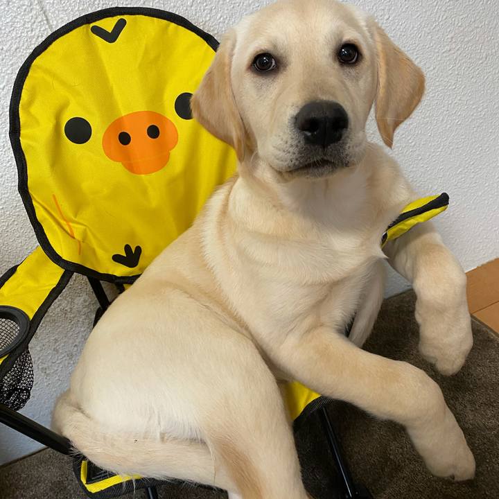 Eb204337 32ce 4d38 8cd5 2a09c0133597 1634135369331