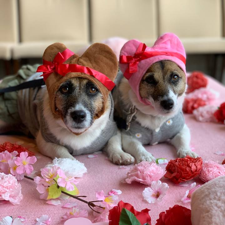 Eb20456c 26cf 4244 9b02 7855eb47a6e8 1616251629879