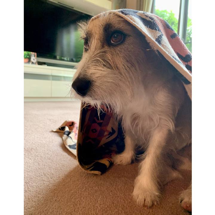 Eb2053e8 eb3f 4e0c a294 d2986c1fb877 1684060225902