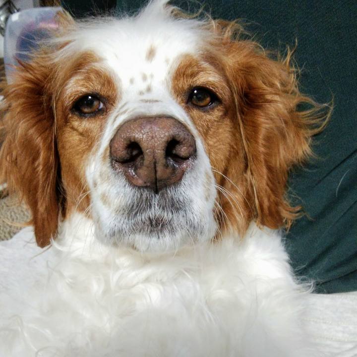 Eb2085b4 5fe2 430b 9d52 d10678d8744f 1553308467397