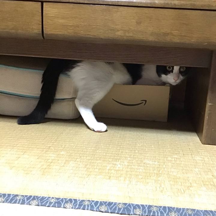 Eb20862f 42d7 46e5 9d7c 93683a352b9d 1694866443177