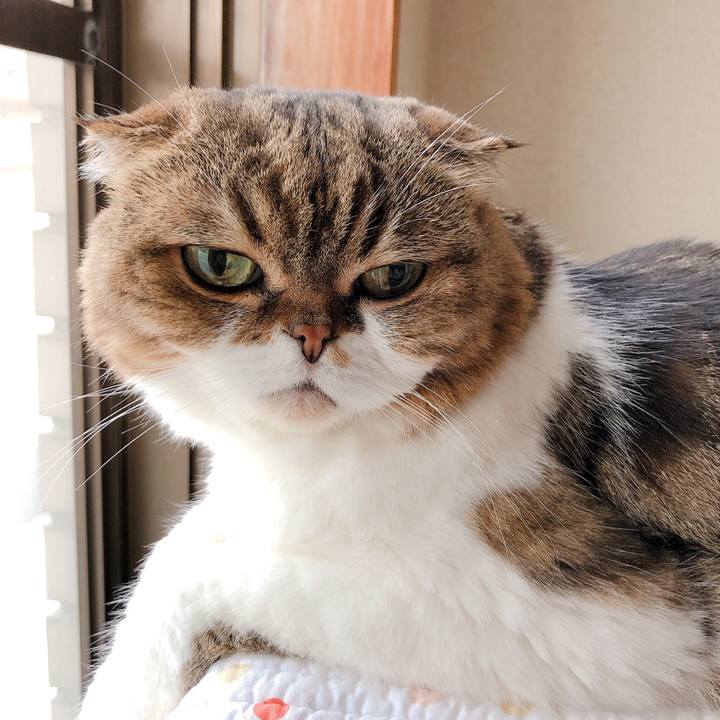 Eb20953d dcc8 4fec b8ff 72e986223dea 1569804154518