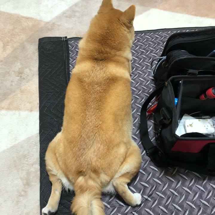 Eb209eb4 34e2 4e85 9798 5daeda840add 1552526226181