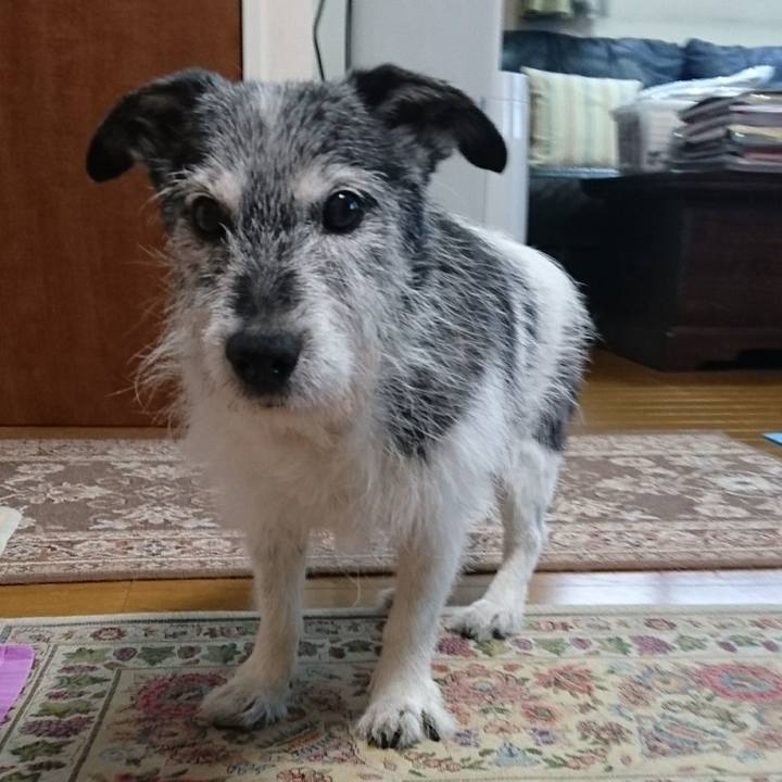 Eb20e63b 689c 405d 8544 e775c836867c 1541842903582