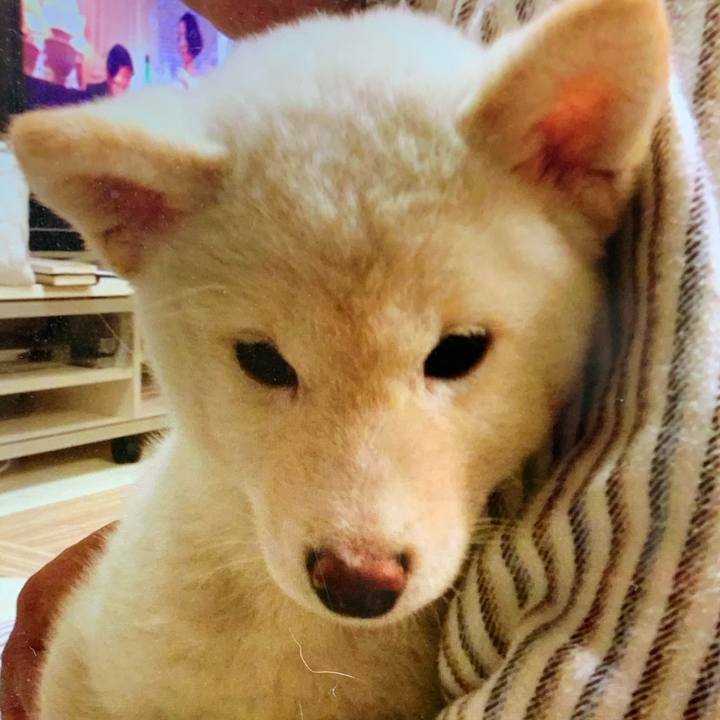 Eb210a48 1074 4857 a3cf 4444f6bc1f1f 1619396563979