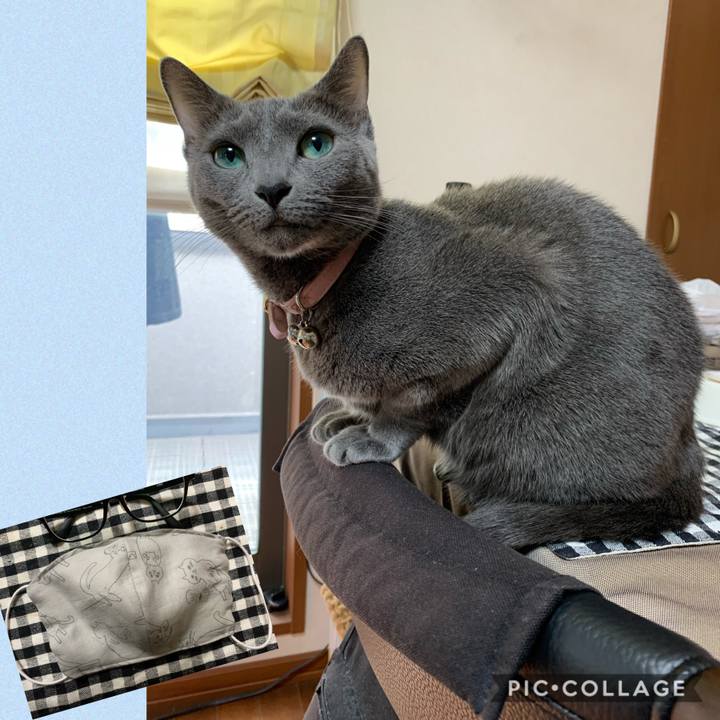 Eb2134f8 190a 4ef9 89da 1245c80673f9 1584252890622