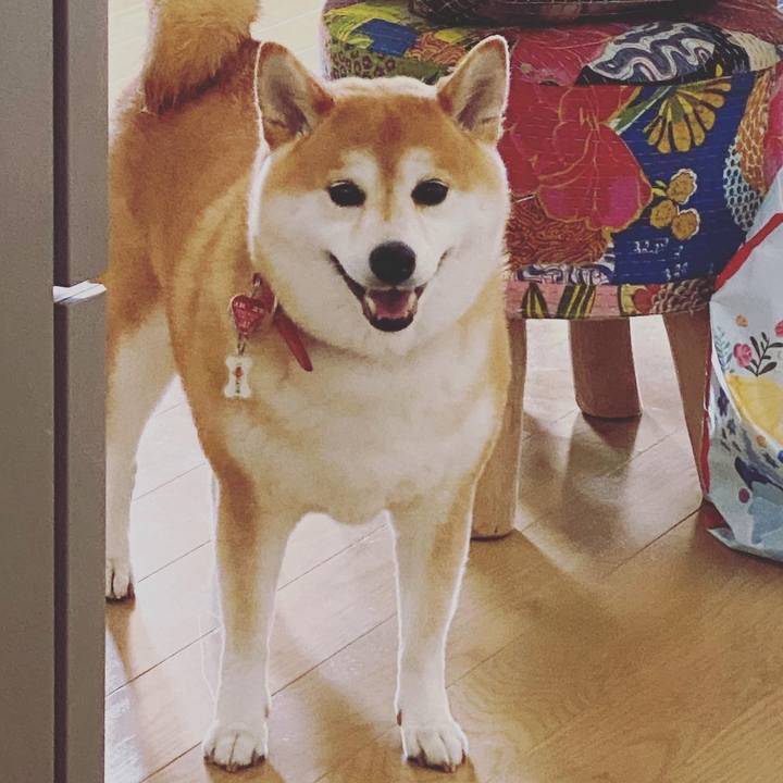 Eb2164c0 90e3 44d7 be55 6cd095d17816 1602338194504